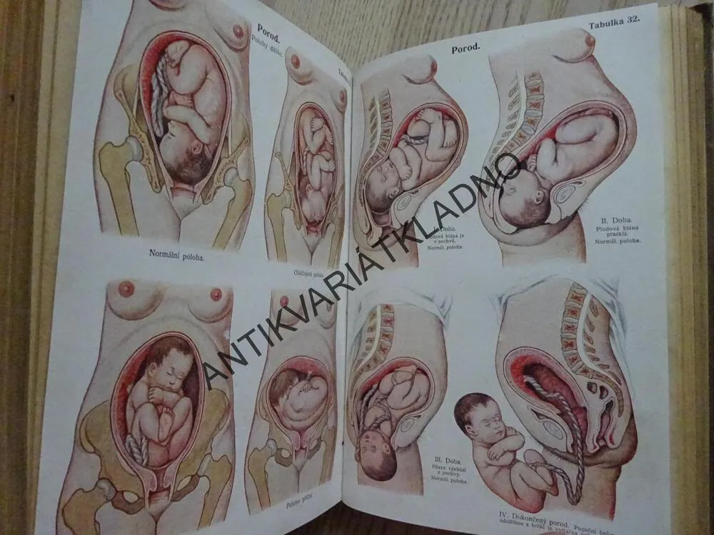 PŘÍRODNÍ LÉČBA A DOMÁCÍ LÉKAŘ, **an
