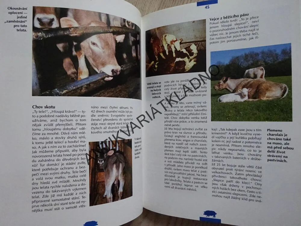 LÁSKA KE ZVÍŘATŮM, ANNELIESE ZUM KOLKOVÁ, **an