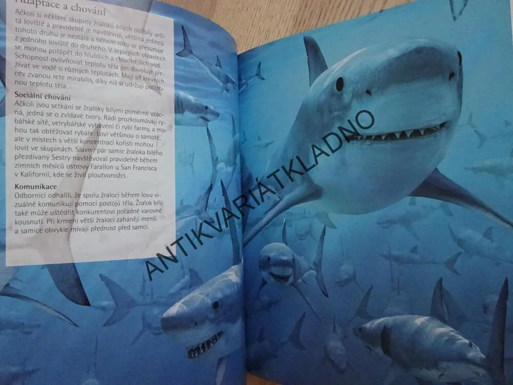 ŽRALOCI A OSTATNÍ PREDÁTOŘI HLUBIN, OBÁVANÍ VLÁDCI OCEÁNŮ, **an