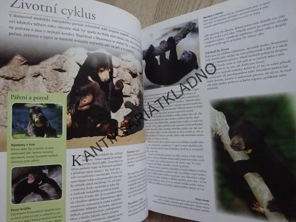 MEDVĚDI, OD MÍRUMILOVNÝCH PAND AŽ PO NEOHROŽENÉ MEDVĚDY LEDNÍ, **an