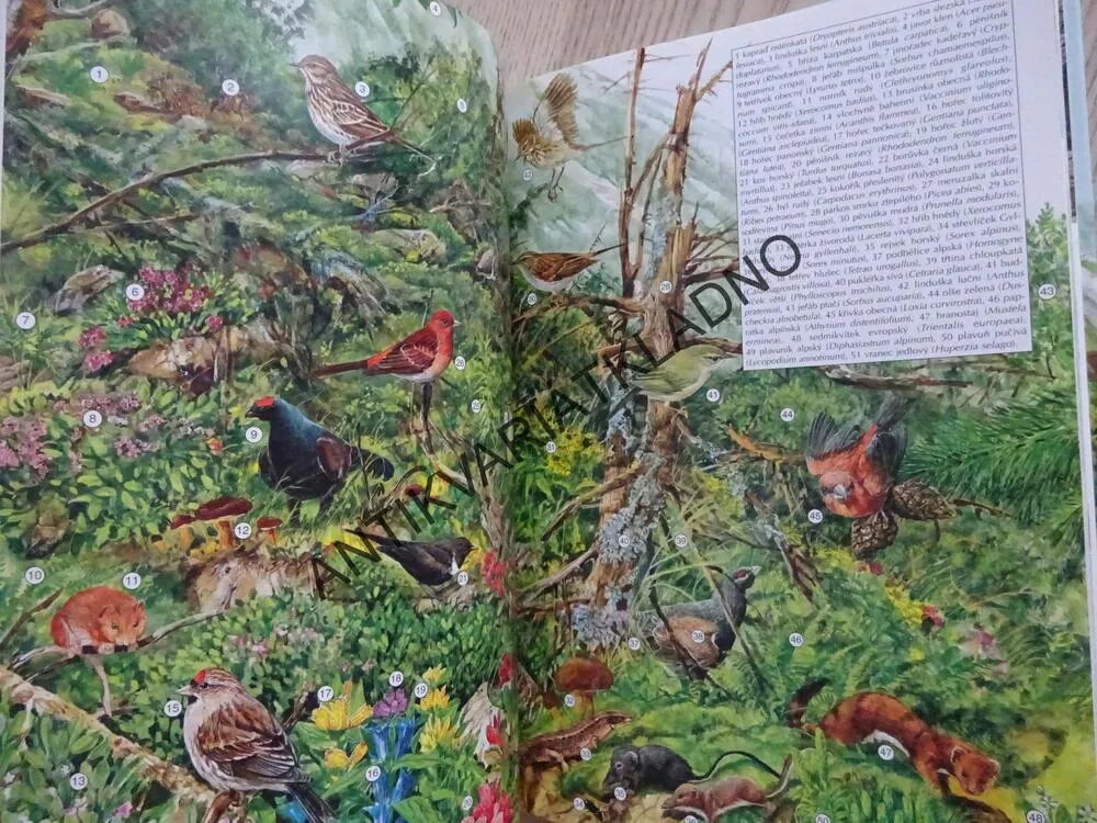 SVĚT HOR, ŽIVOT V PŘÍRODĚ, PAVEL PROCHÁZKA, JAN ŠTURSA, **an