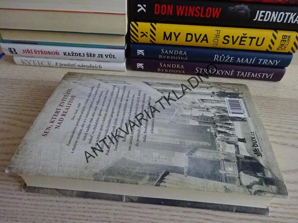 CHLAPEC, KTERÝ ROZDÁVAL SNY, LUCA DI FULVIO, **an