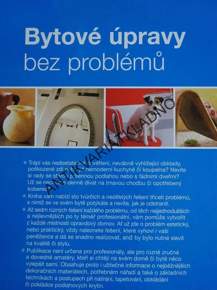 BYTOVÉ ÚPRAVY BEZ PROBLÉMŮ, SACHA COHENOVÁ, **an
