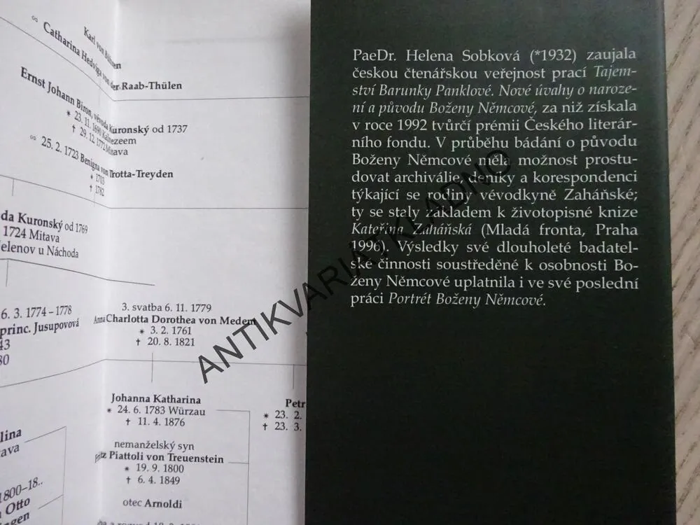 TAJEMSTVÍ BARUNKY PANKLOVÉ, PORTÉT BOŽENY NĚMCOVÉ, HELENA SOBKOVÁ,, **an