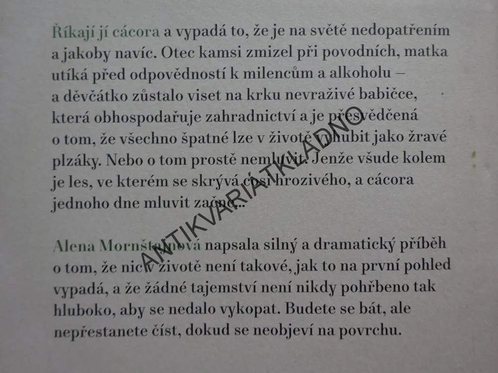LES V DOMĚ, ALENA MORNŠTAJNOVÁ, **an