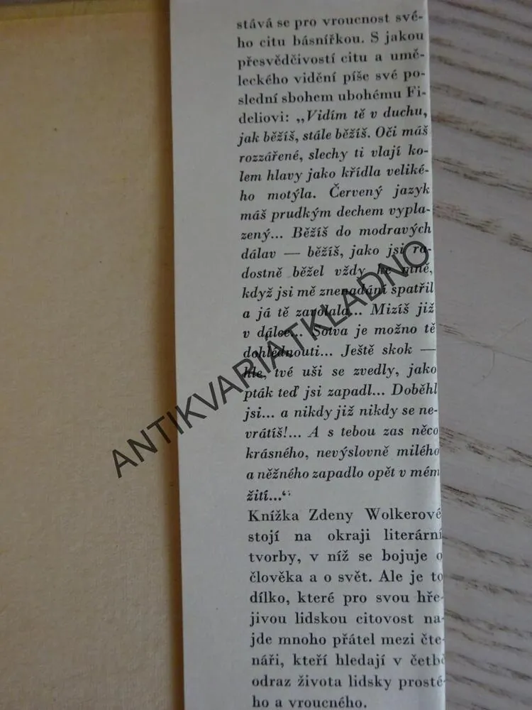 MĚLI JSME DVA PSY, ZDENA WOLKEROVÁ, **an