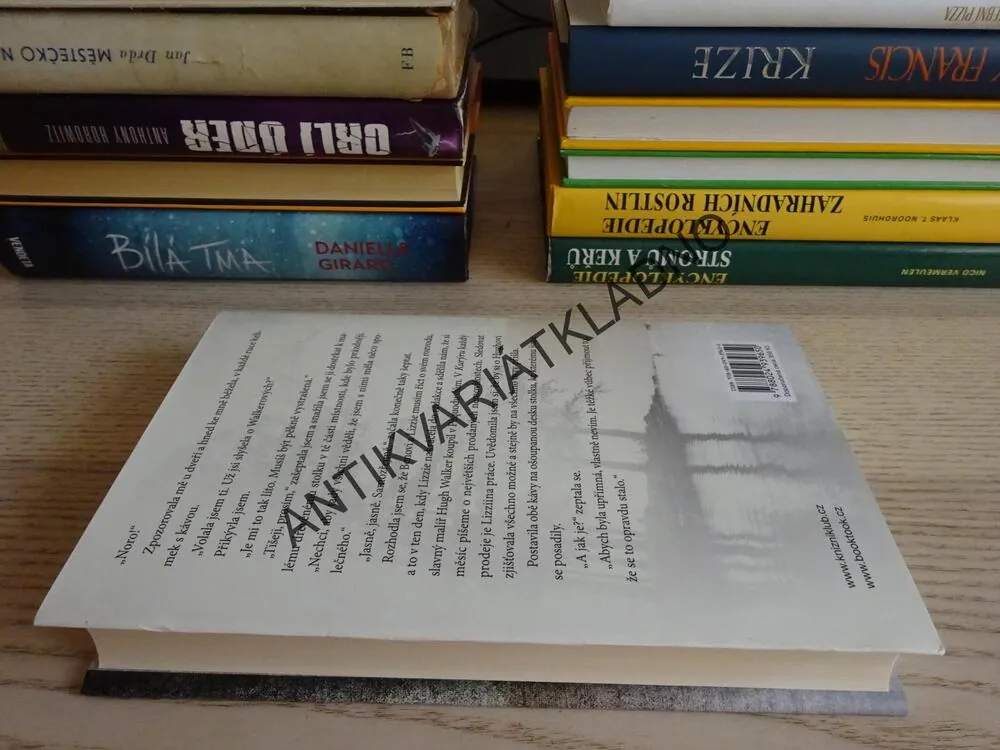 ZATÍMCO SPÍM, RENÉE SHAFRANSKY, **an