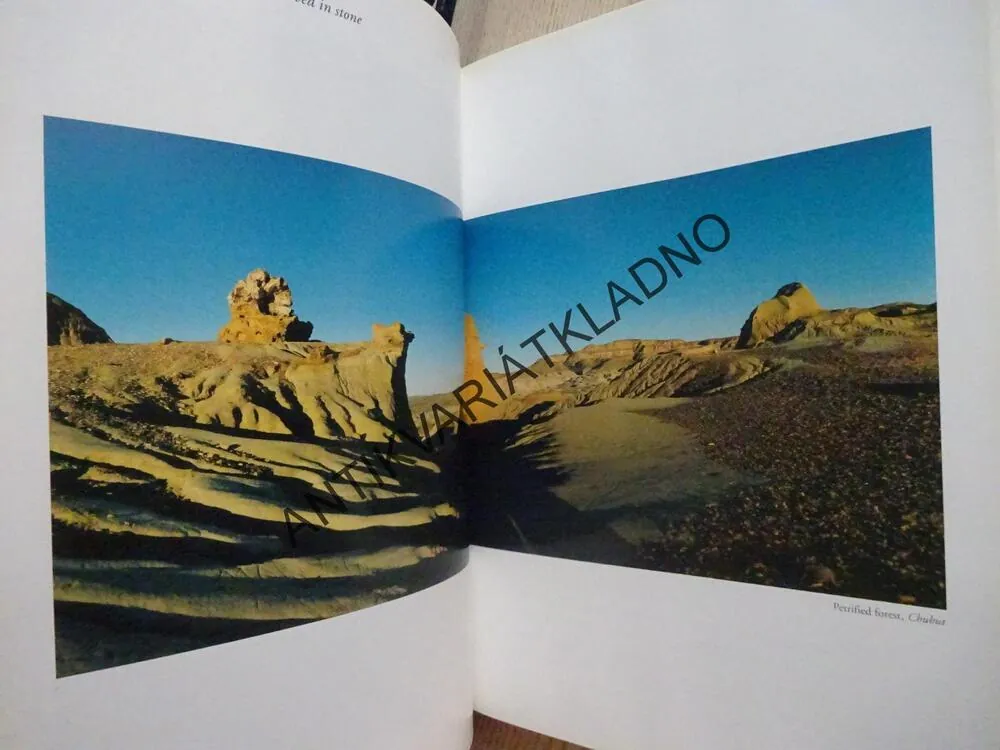 ARGENTINA, PATAGONIA, **an