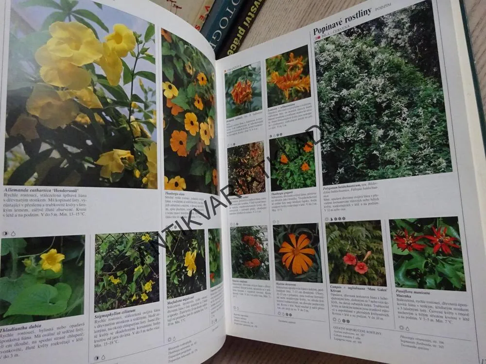 VELKÁ ENCYKLOPEDIE KVĚTINA OKRASNÝCH ROSTLIN, CHRISTOPHER BRICKELL A KOLEKTIV, **an