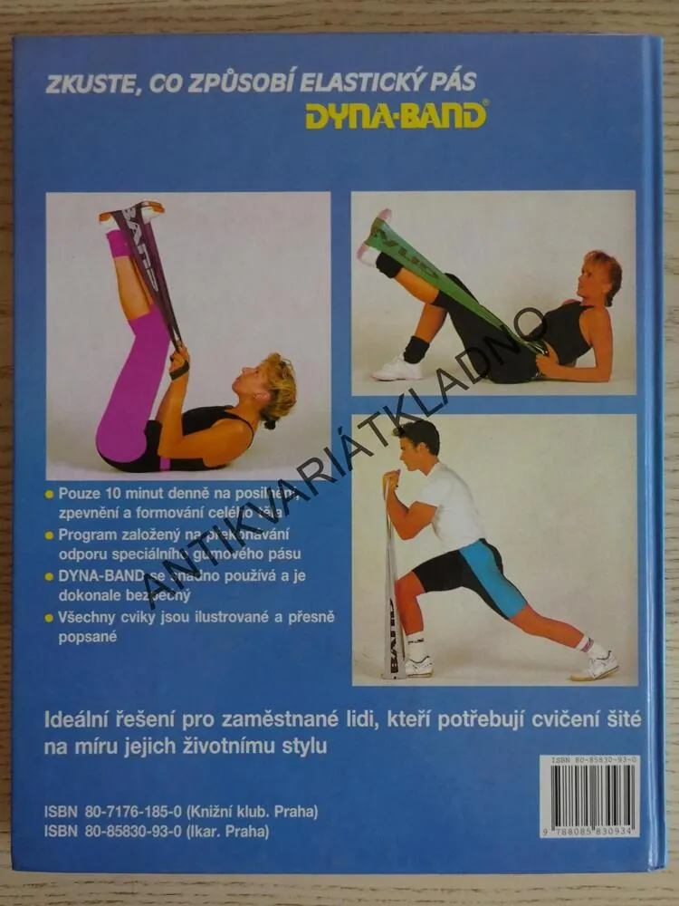 DYNA-BAND, PERFEKTNÍ POSTAVA ZA 10 MINUT DENNĚ, HILARY ATKINSON, ANDRÉE DEANE, **an