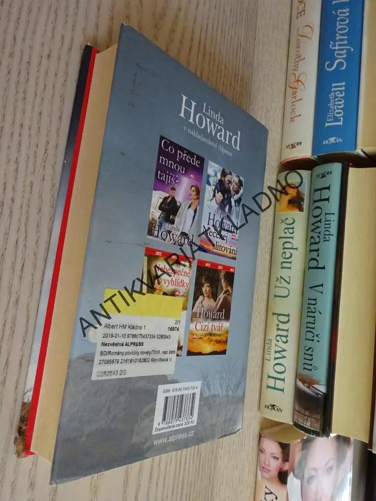 NEZVĚSTNÁ, LINDA HOWARD, **an