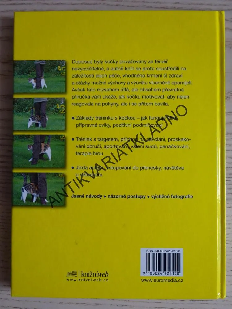 KLIKRTRÉNINK S KOČKOU, VIVIANE THEBYOVÁ, **an