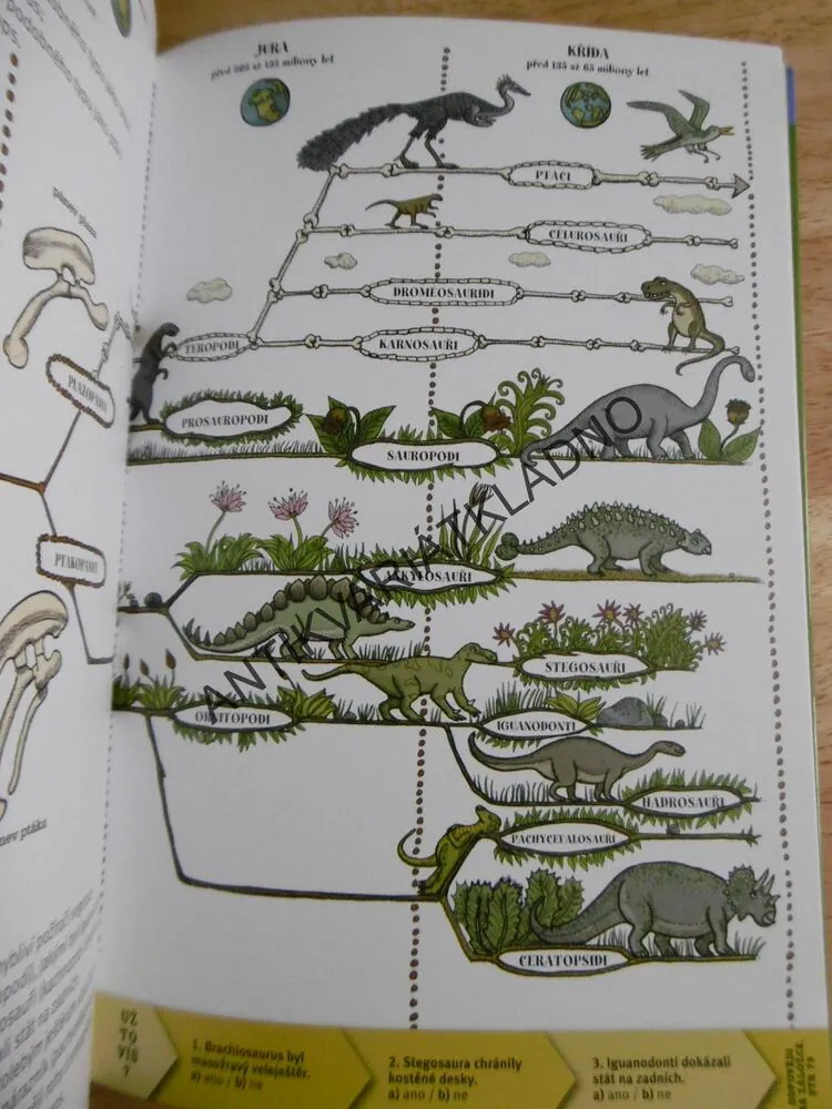 DINOSAUŘI, UŽ TO VÍM! LAROUSSE, **an