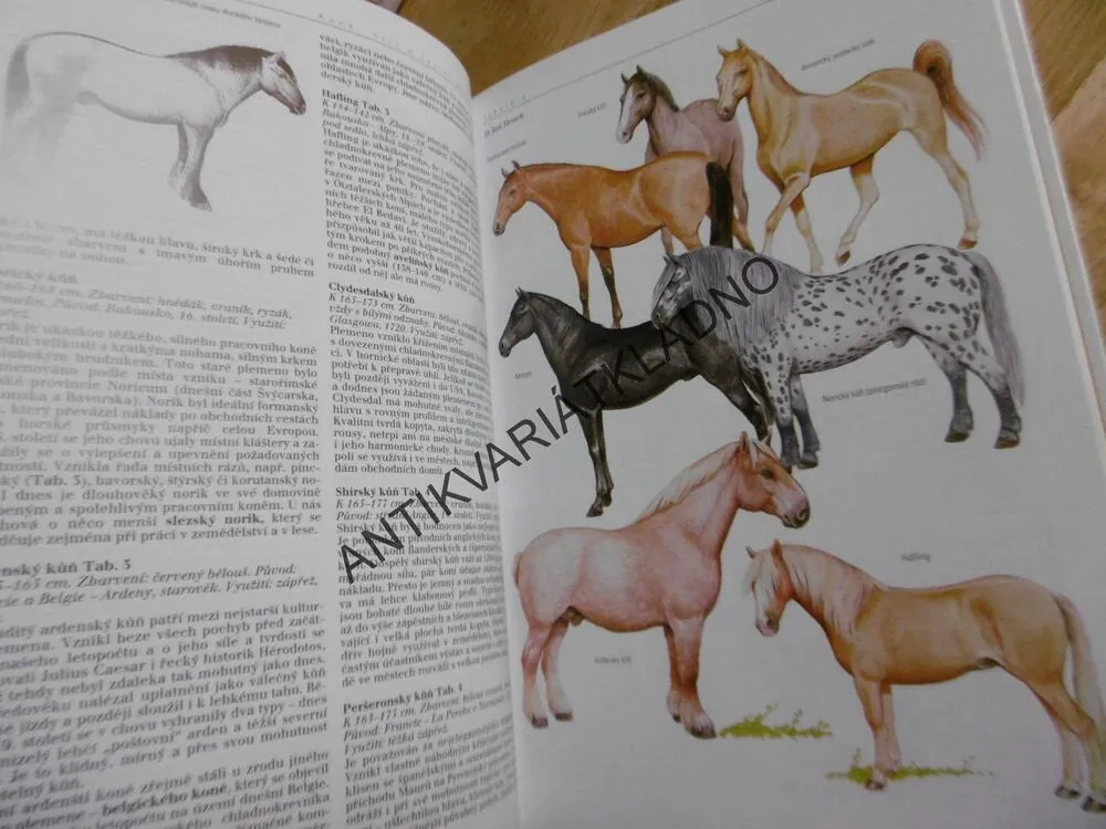 SVĚT ZVÍŘAT XII, DOMÁCÍ ZVÍŘATA,, ALENA ČERVENÁ, ANDĚRA