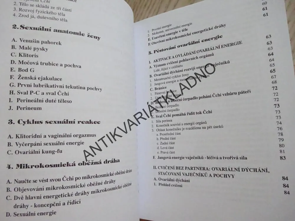 LÉČIVÁ LÁSKA, KULTIVACE ŽENSKÉ SEXUÁLNÍ ENERGIE I., MANEEWAN CHIA, MANTAK CHIA, **an