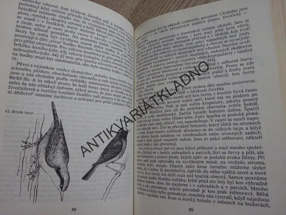METODIKA SEZNAMOVÁNÍ DĚTÍ S PŘÍRODOU, **an
