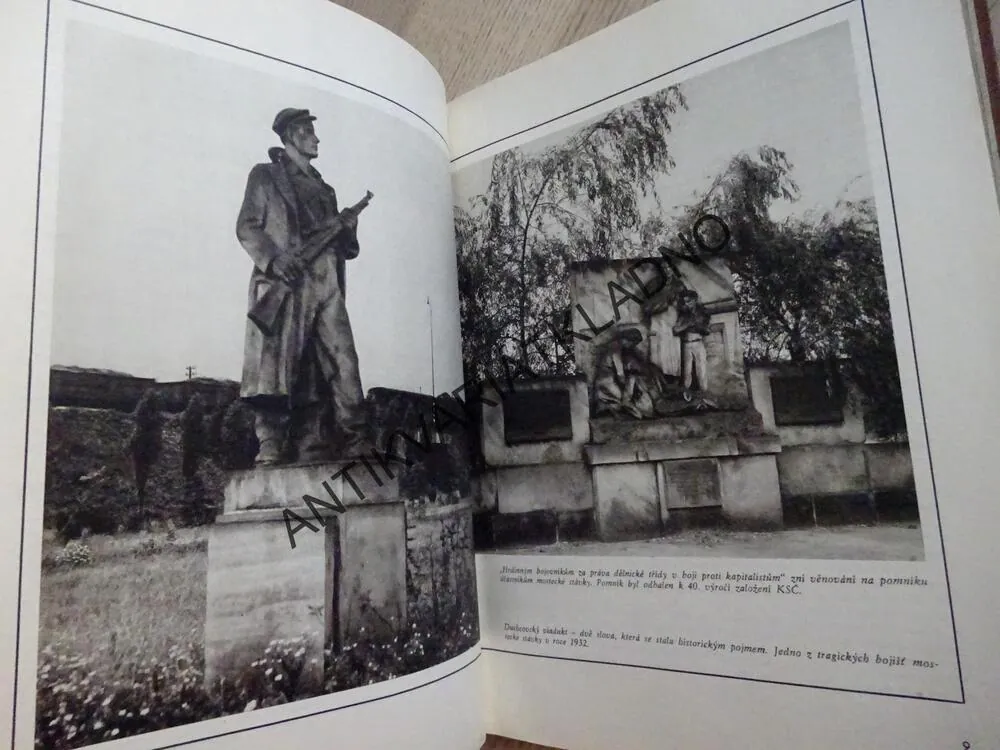 SEVEROČESKÝ HNĚDOUHELNÝ REVÍR VE FOTOGRAFII, **an