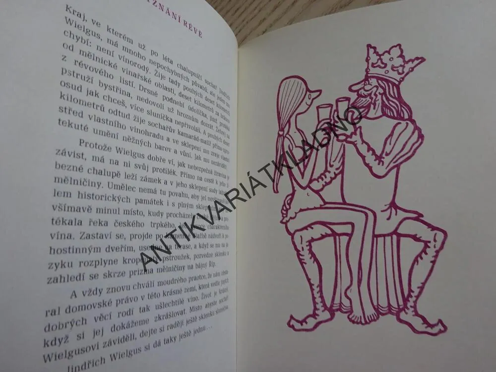 PŘÍPITEK S DIONÝSEM, JINDŘICH HAUFT, NEPRAKTA, **an