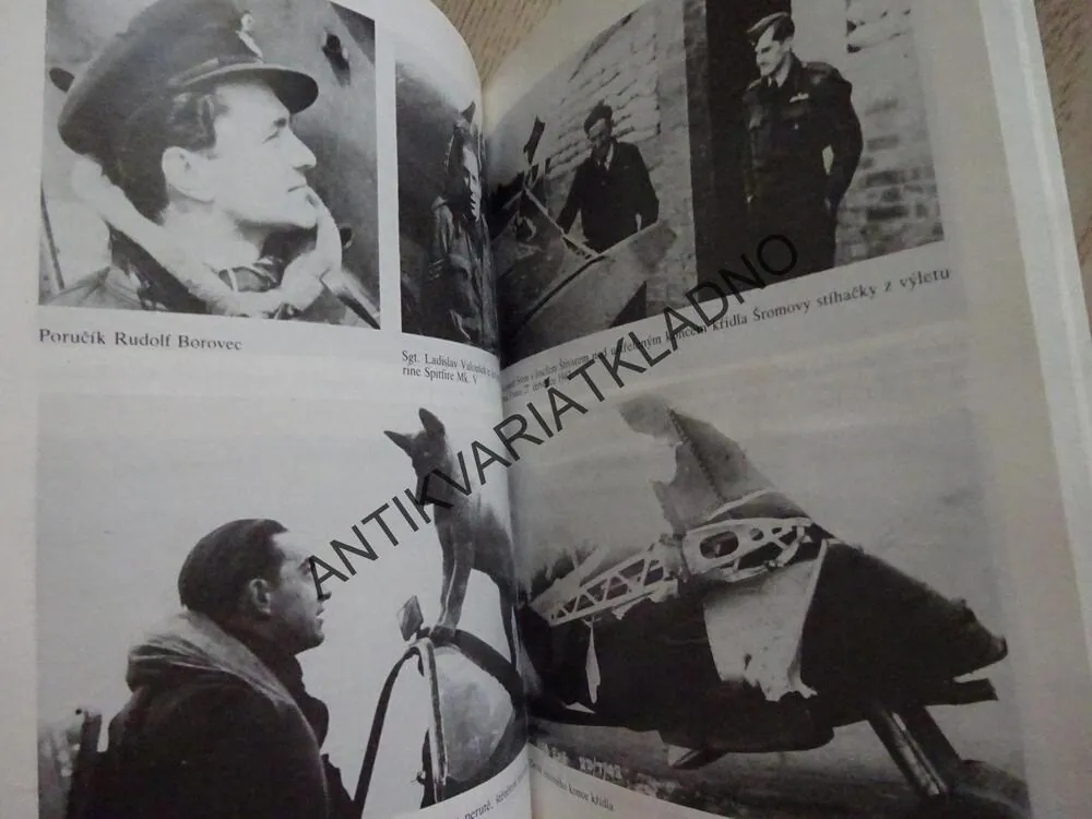 STÍHACÍ PILOT, JIŘÍ RAJLICH, JIŘÍ SEHNAL, **an 