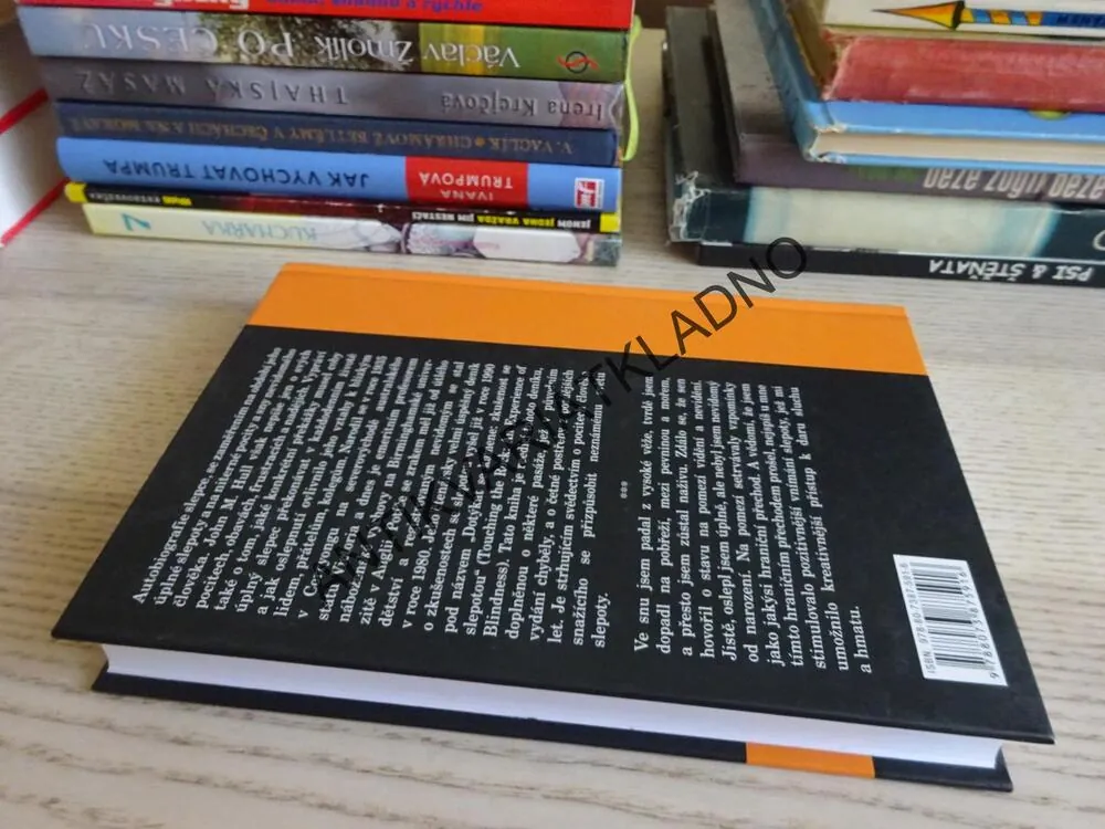 POUŤ DO ŘÍŠE SLEPOTY, DENÍKY PÁDU DO VĚDOMÍ, JOHN M. HULL, **an