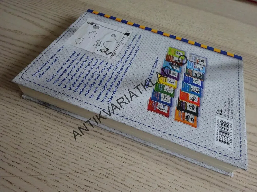 DENÍK MALÉHO POSEROUTKY, 16, VELKÁ ŠANCE, JEFF KINNEY, **an