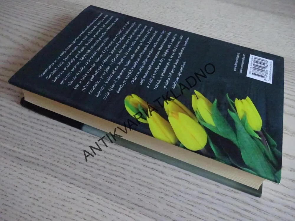 MILOVALA JSEM ŽIVOT, ABBY FABIASCHI, **an
