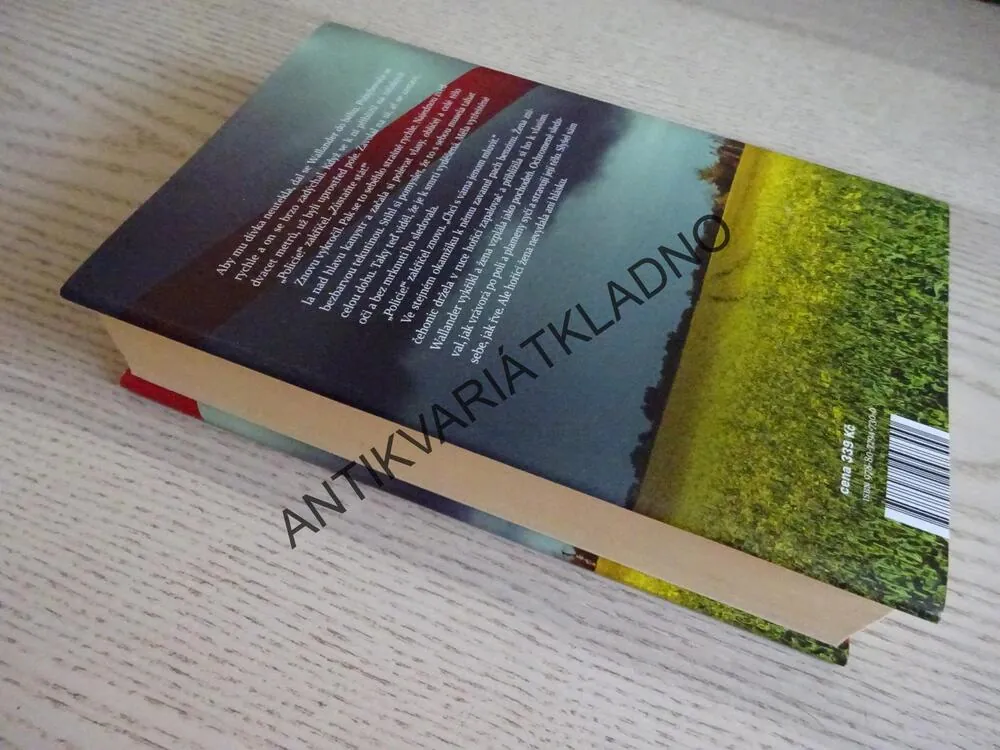 VE SLEPÉ ULIČCE, HENNING MANKELL, **an