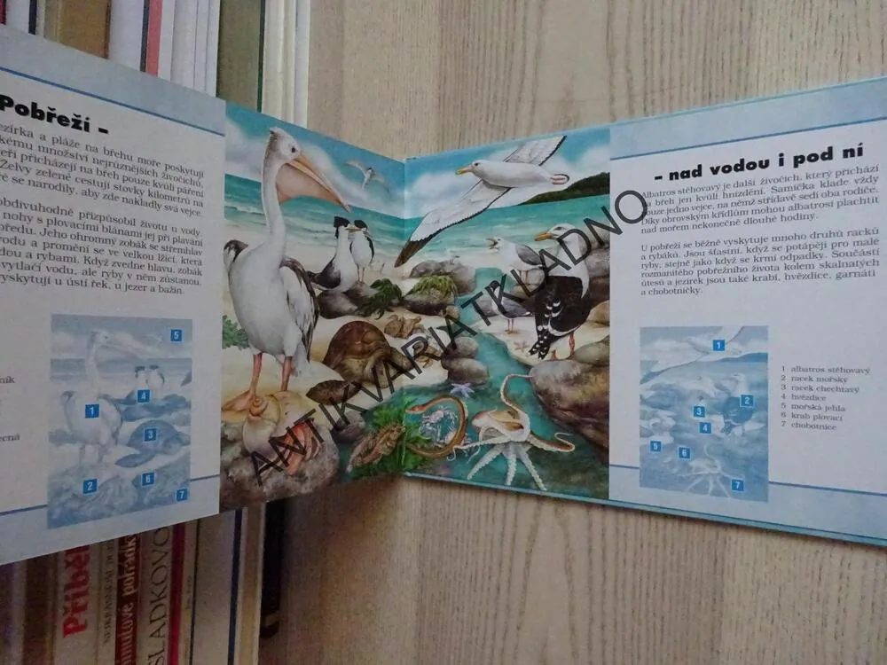 SVĚT MOŘÍ A OCEÁNŮ, LEE KRUTOP, **an