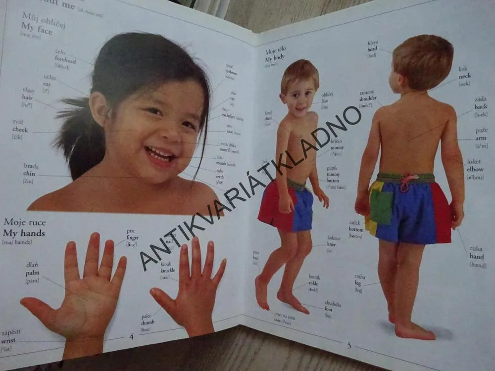 MŮJ PRVNÍ SLOVNÍK, ČESKO-ANGLICKÝ, **an