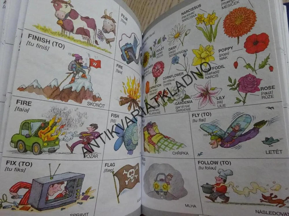 VÍC NEŽ 1000 ANGLICKÝCH SLOVÍČEK, JOSEPH P. ORWELL, PRVNÍ POMOC NEJEN PRO ZAČÁTEČNÍKY, **an