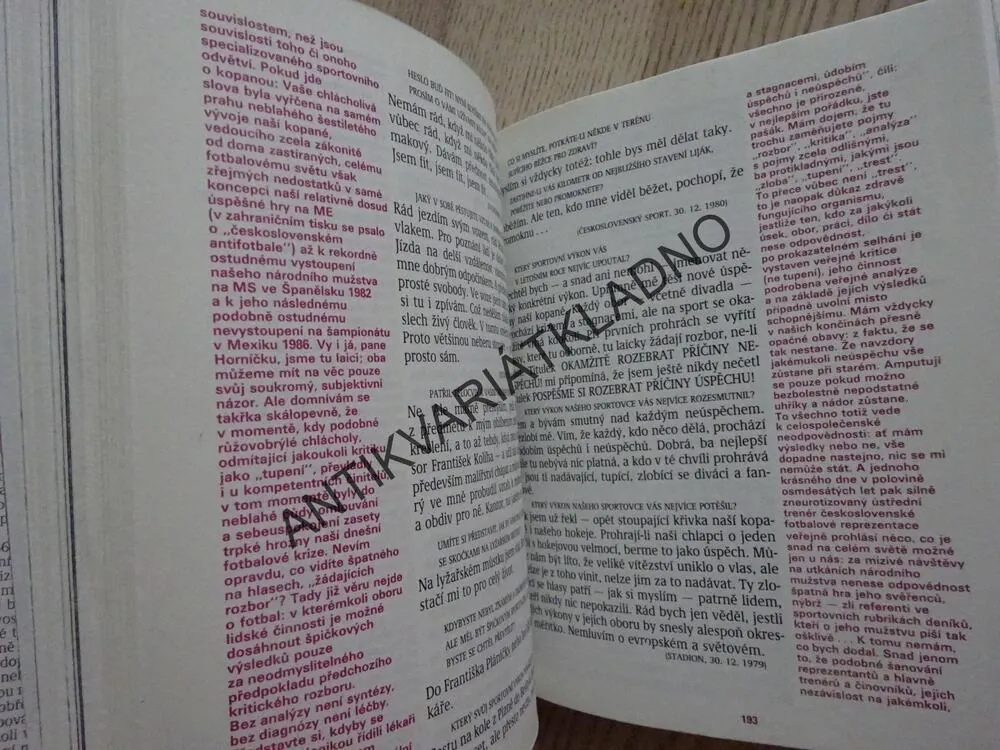 KLAUNOVY ROZPRAVY, MIROSLAV HORNÍČEK, **an