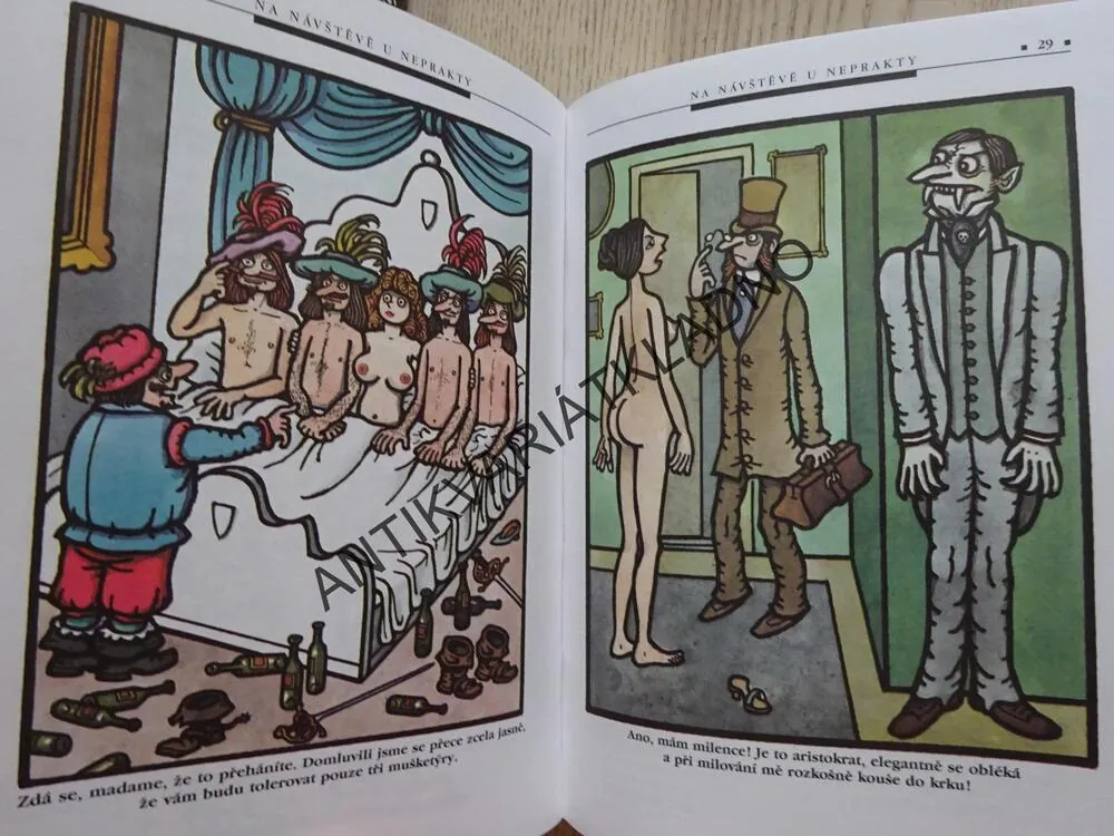 NA NÁVŠTĚVĚ U NEPRAKTY, **an