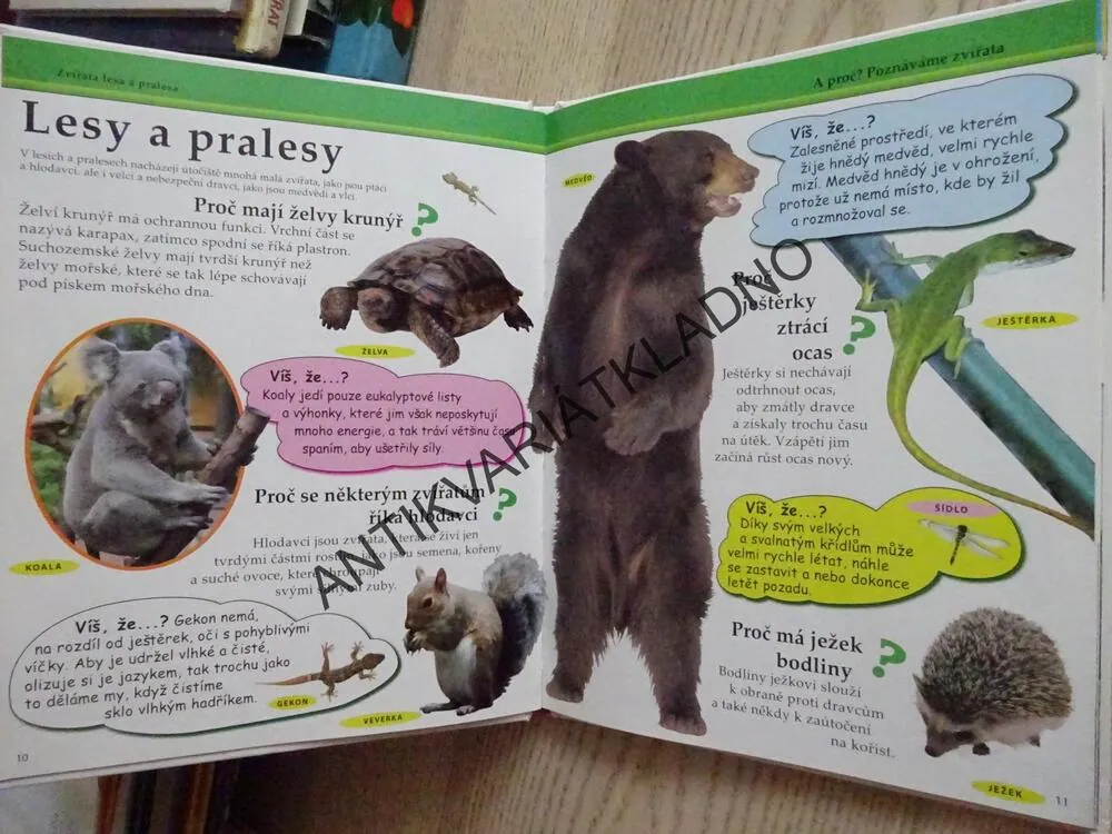 MOJE PRVNÍ KNIHA A PROČ?, POZNÁVÁME ZVÍŘATA, **an
