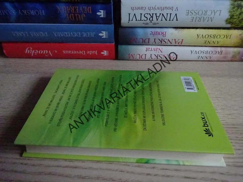POVÍDEJ, CO VIDÍŠ, JOY FIELDINGOVÁ, **an