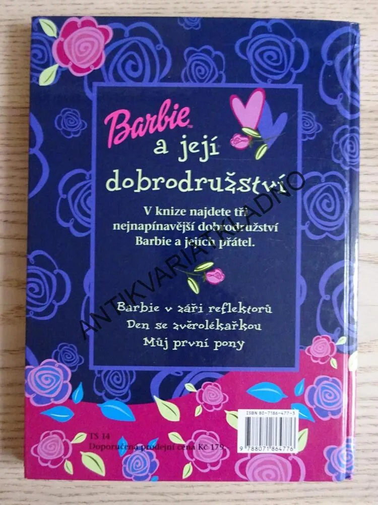BARBIE A JEJÍ DOBRODRUŽSTVÍ, **an