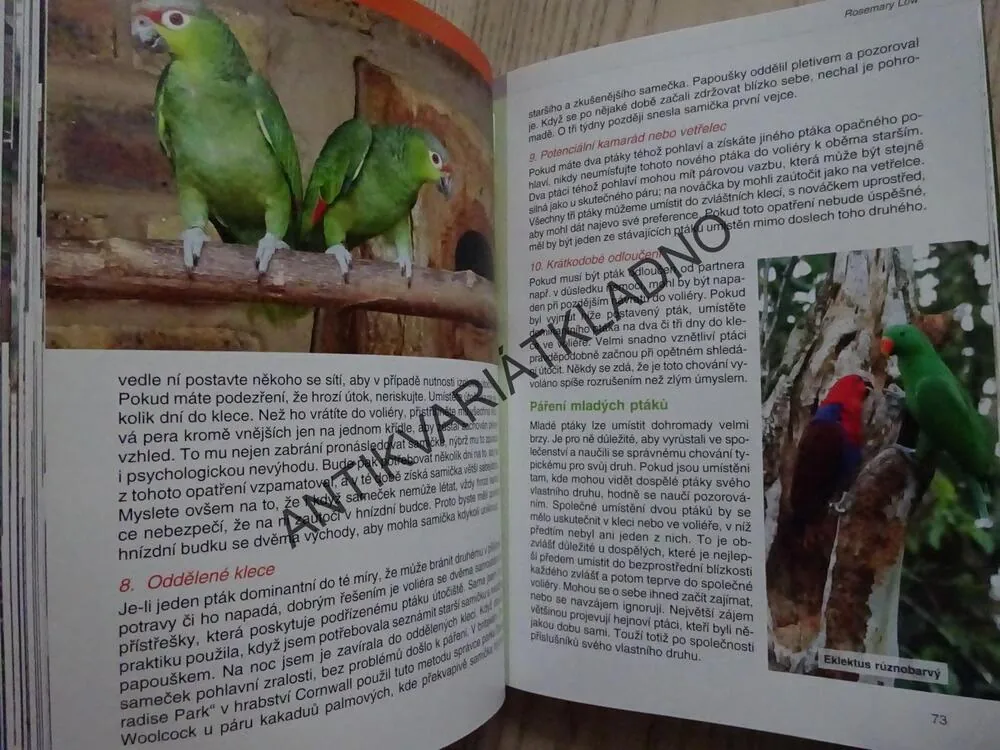 CHOV PAPOUŠKŮ, CHOVATELSKÁ PŘÍRUČKA, ROSEMARY LOW, **an