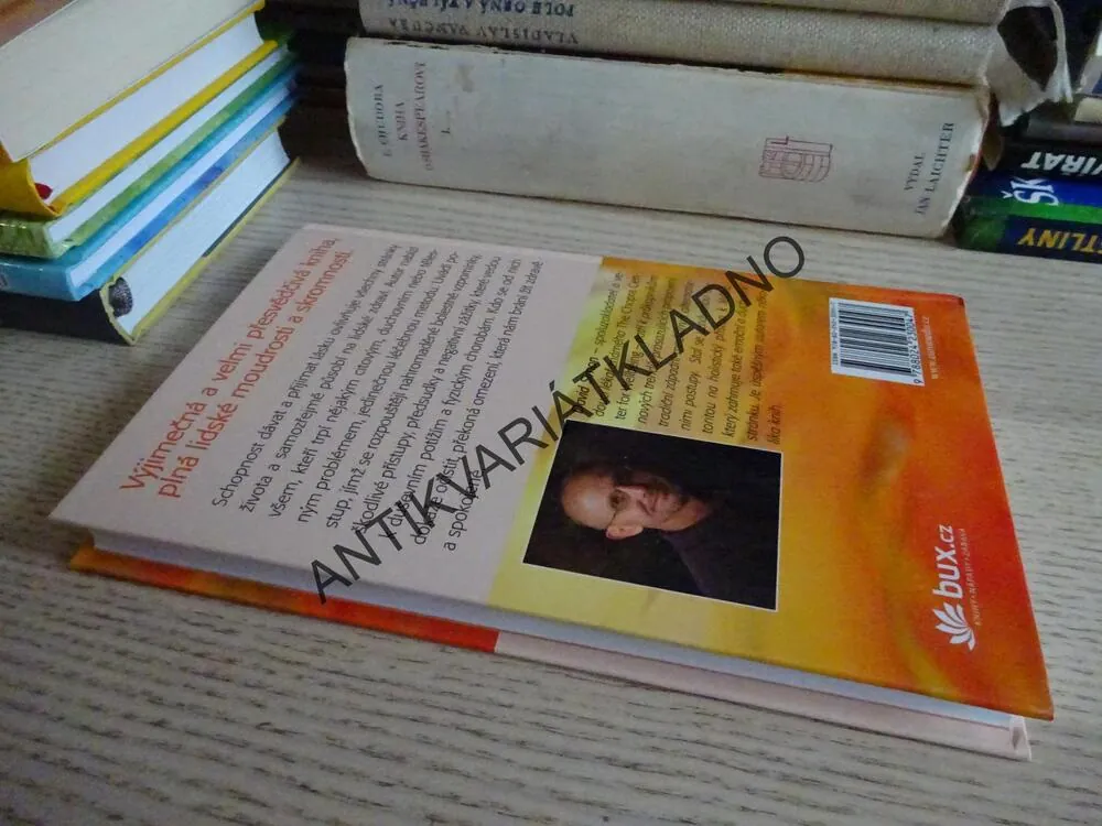 UZDRAVTE SE LÁSKOU, POTŘEBA DUŠEVNÍ ČISTOTY, DAVID SIMON, **an