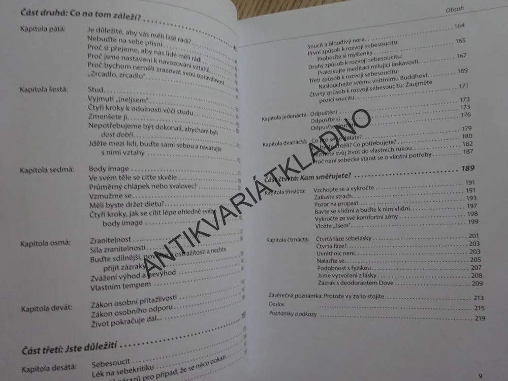 MILUJ SÁM SEBE, DAVID R. HAMILTON, **an