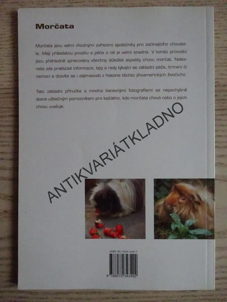 MORČATA, NETTY DE WIT, **an