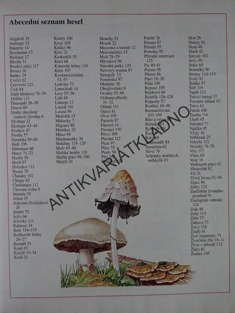ZVÍŘATA A ROSTLINY, ŠKOLNÍ ENCYKLOPEDIE, **an