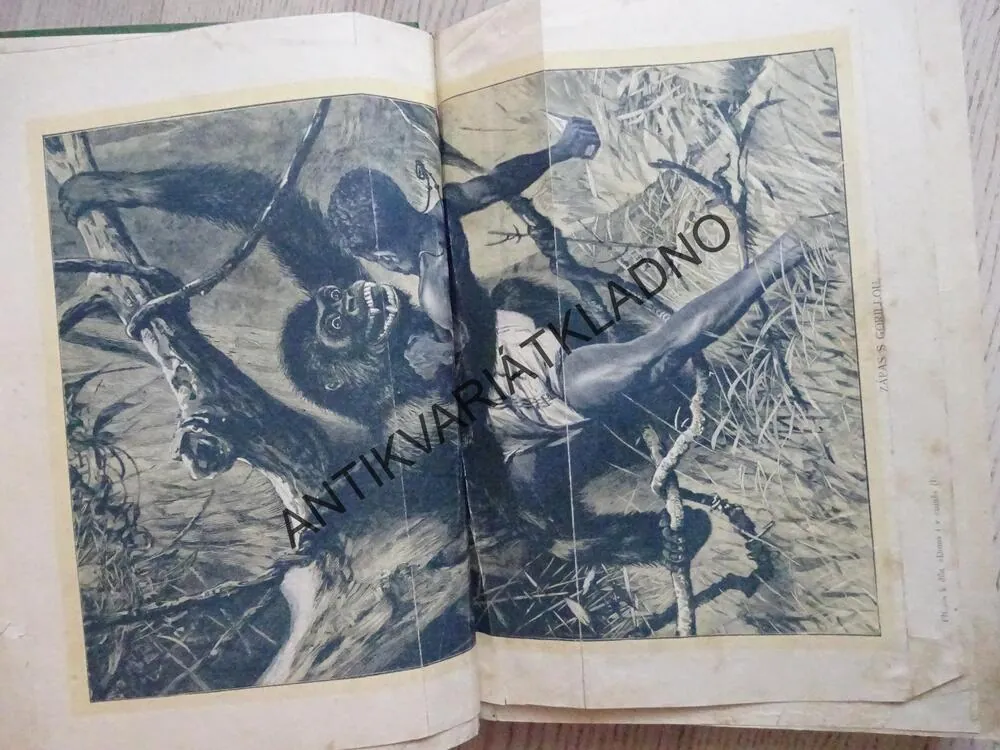 DOMA I V CIZINĚ, JAN DOLENSKÝ, **an