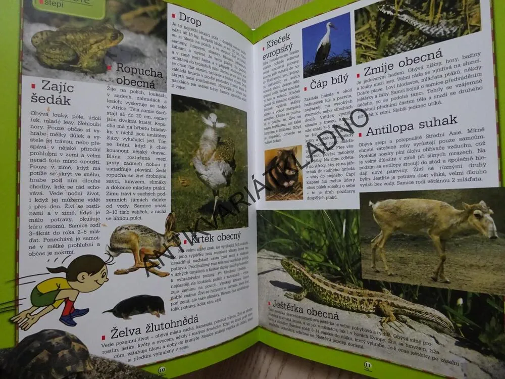 BOLEK A LOLEK, ATLAS ZVÍŘAT, **an