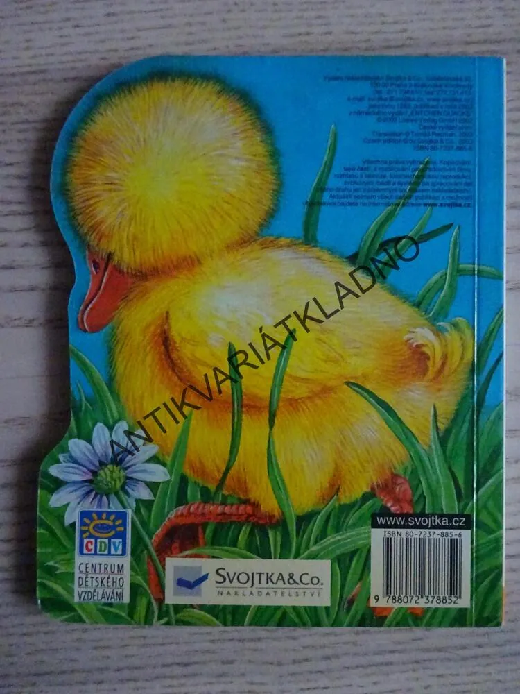 KACHŇÁTKO KVÁČEK, **an
