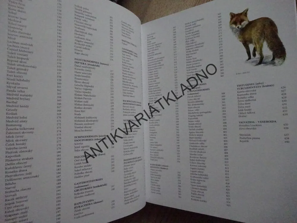 ZVÍŘATA, **an
