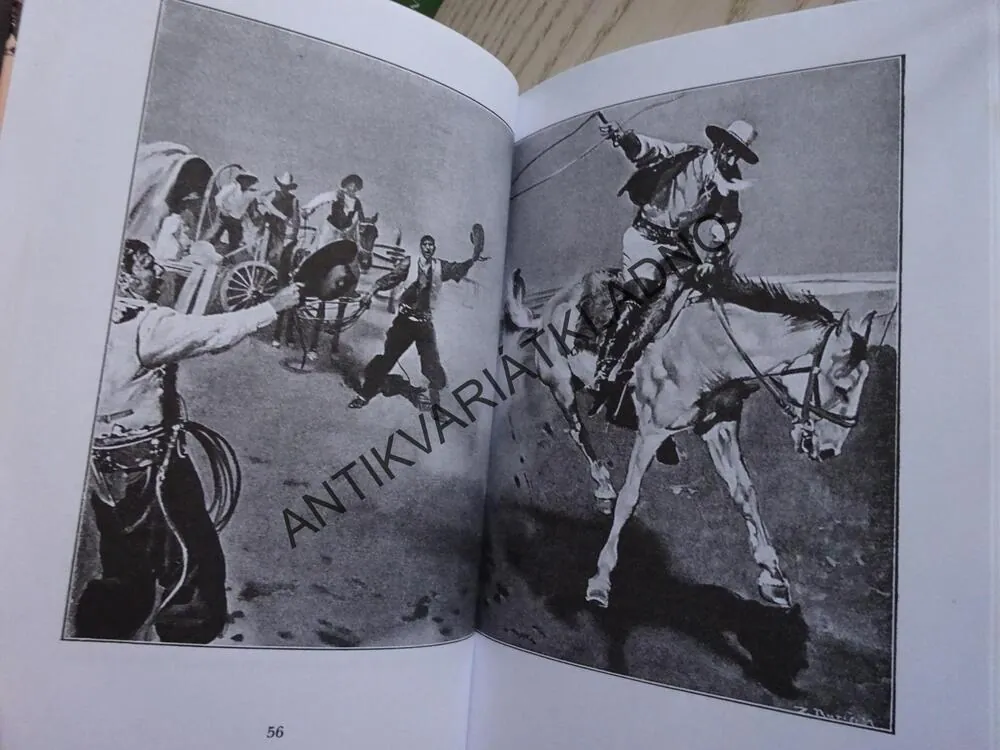 SEVERNÍ HVĚZDA, P. JERNDORFF-JESSEN, ZDENĚK BURIAN, **an