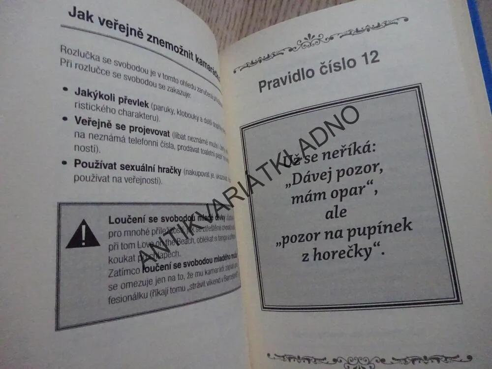DOKONALÁ ŽENA JE BLBKA!, MARIE GIRARDOVÁ, ANNE GIRARDOVÁ, **an