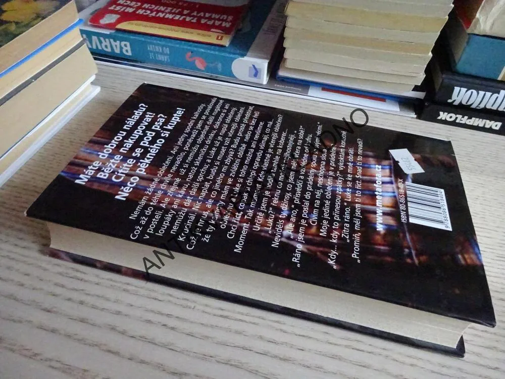 SHOPAHOLIK ZA HRANICEMI, SOPHIE KINSELLA, **an