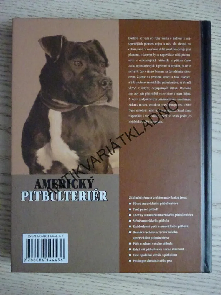 AMERICKÝ PITBULTERIÉR, F. FAVORITO, **an
