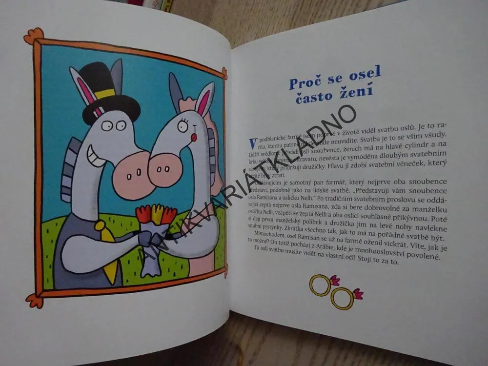 BÁCHORKY BLANICKÉHO RYTÍŘE, MILOŠ ZAPLETAL, **an
