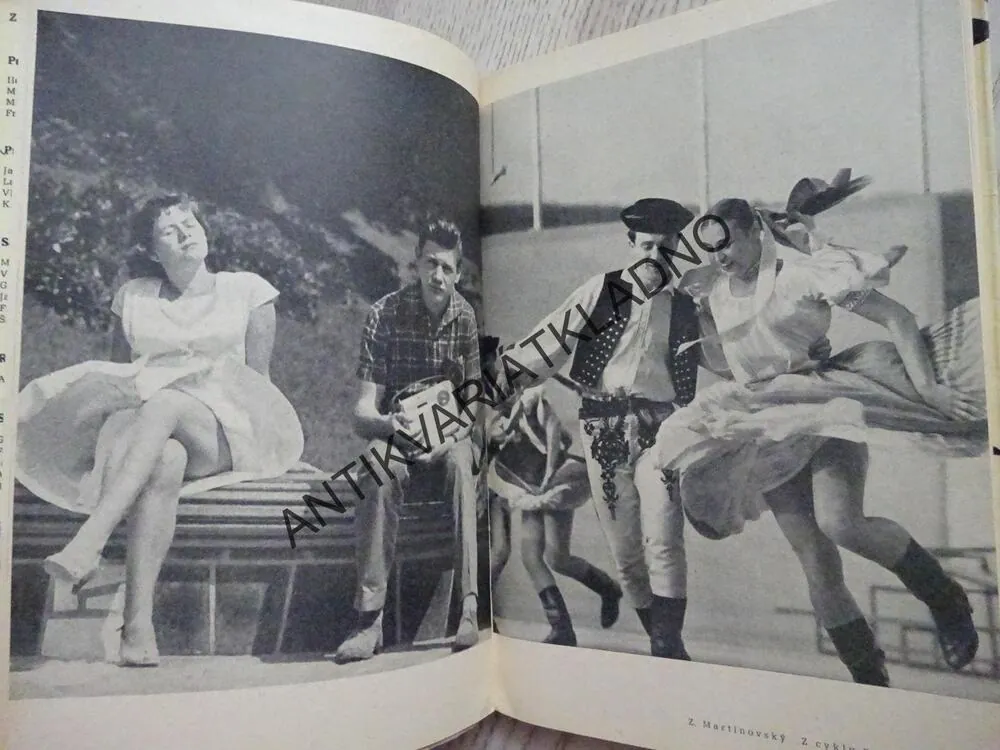 ROMANCE PRO KŘÍDLOVKU, FRANTIŠEK HRUBÍN, **an
